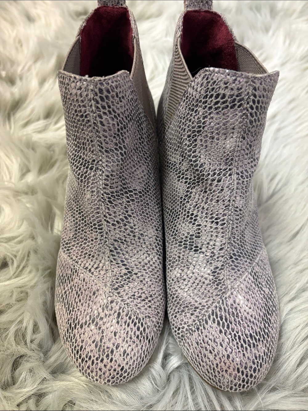 Toms Women's Snake-Print Ankle Boots in Light Gray